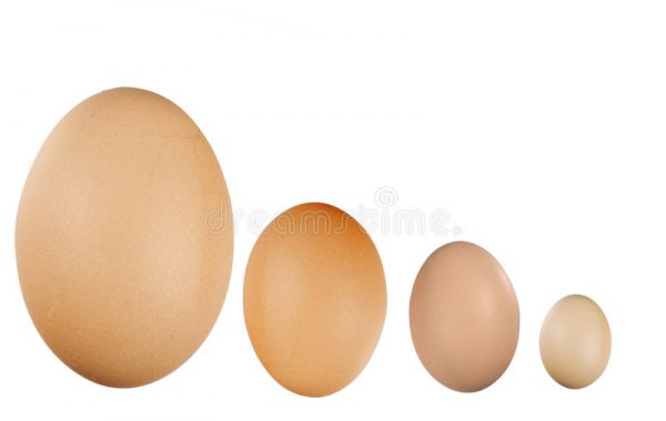 kleine-en-grote-eieren-7307867