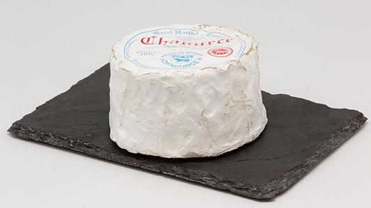 Chaource_(fromage)_01